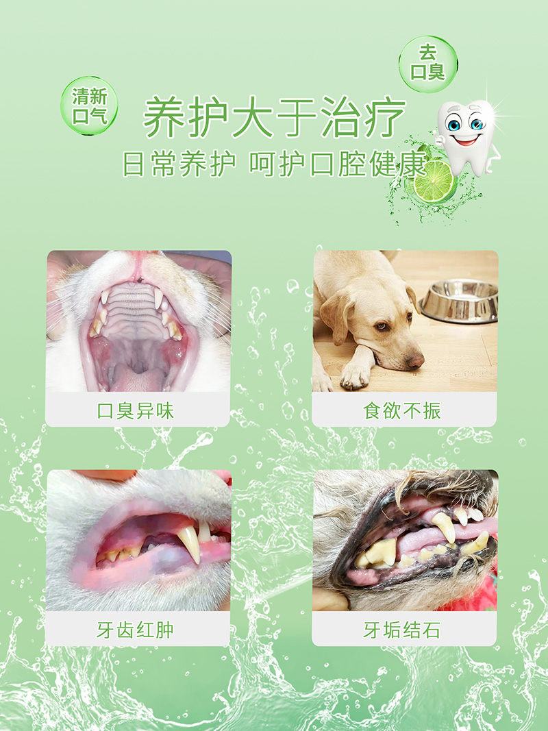 优思韦-口气清新冻干片